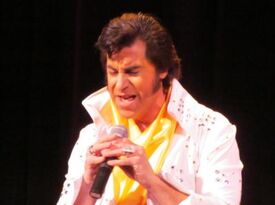 "Elvis"James - Elvis Impersonator - Greenville, MI - Hero Gallery 2