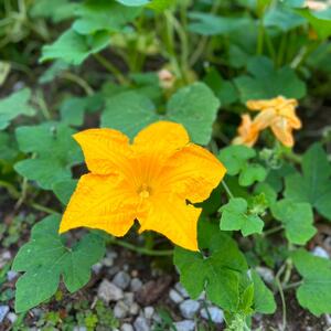 Gallery Photo 58