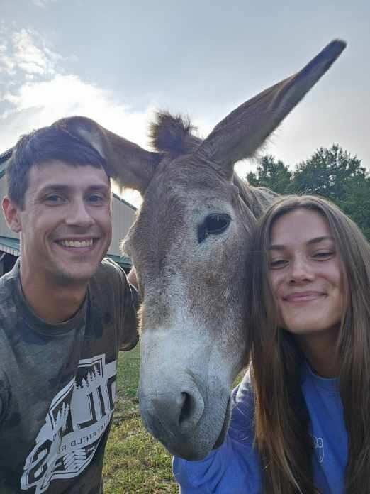 Moving to the farm also involved taking care of Zeke! The Bean family donkey.