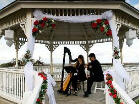 Weddings & Concerts Of Florida, Harpist: Melody - Harpist - Daytona Beach, FL - Hero Gallery 1