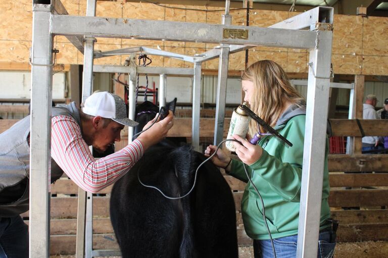 Doing what we love together.