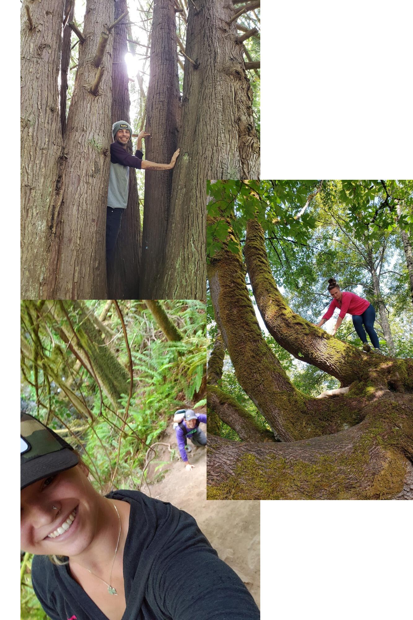 Lots more hiking in Washington