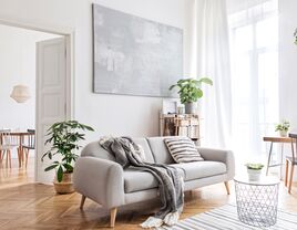 Cozy neutral living room 