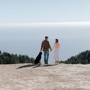 Gallery Photo 22