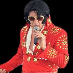 Paul Wyle - More Elvis Tribute, profile image