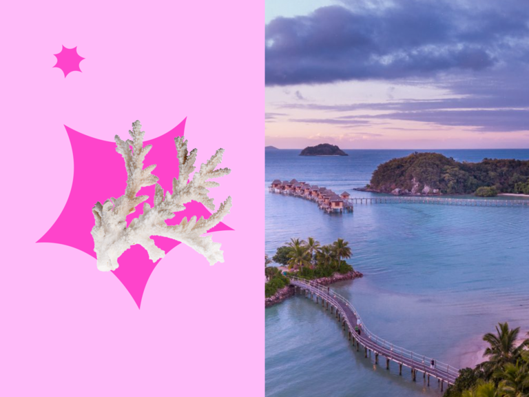 Jade Mountain resort in St. Lucia with honeymoon package