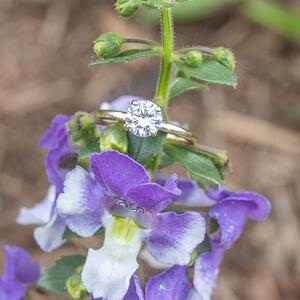Gallery Photo 27