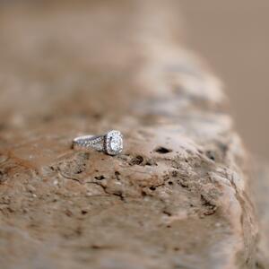 Gallery Photo 34