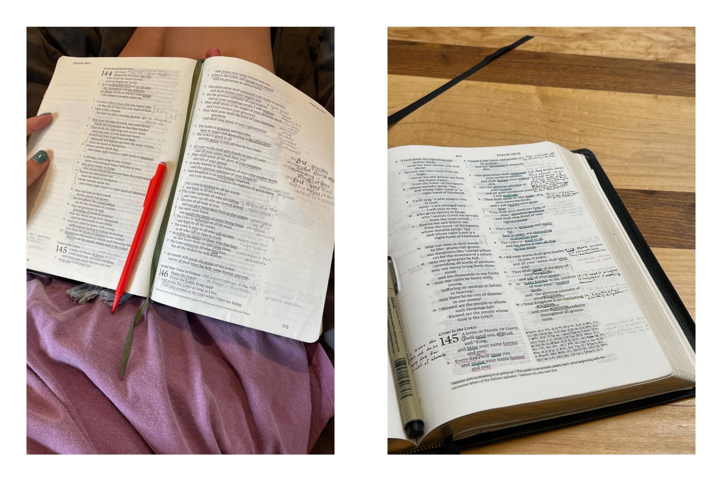 Now we're planning the wedding, and counting down the days until December 13th :) 

We praise the Lord for writing every detail of this love story... ask us to tell you all about it sometime!