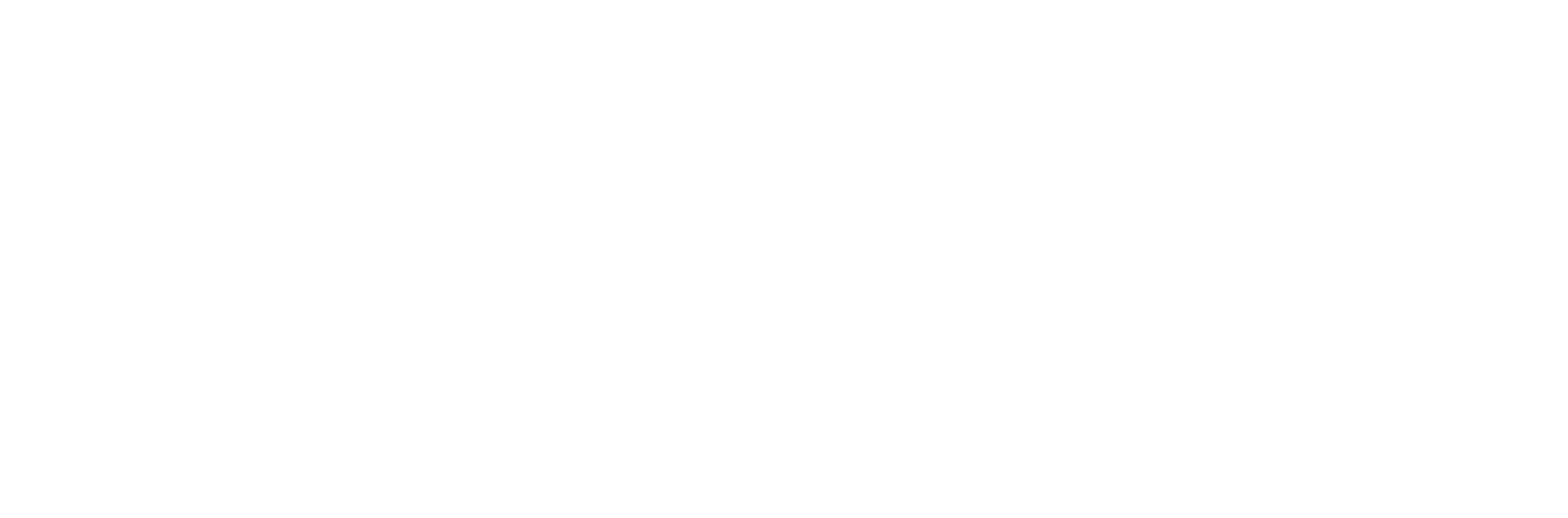 Bottom Theme Image
