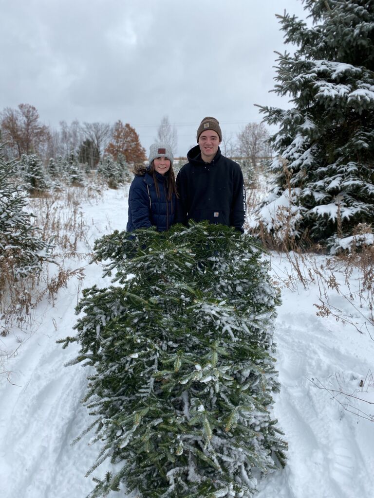 First time cutting down a Christmas Tree
