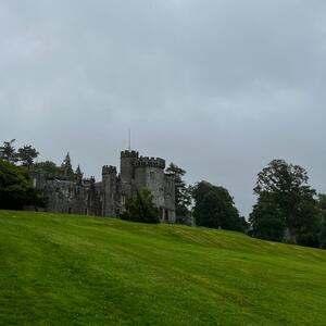 Gallery Photo 2