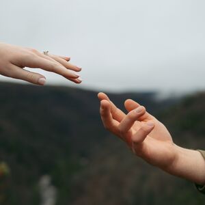 Gallery Photo 25