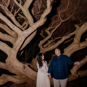 Gallery Photo 16