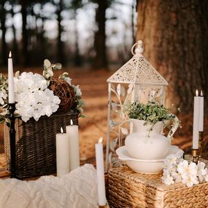 Gallery Photo 31