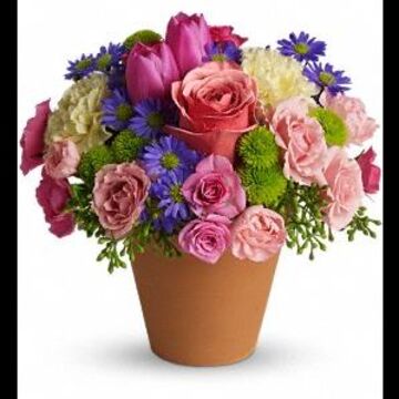 Lees Discount Florist & Gifts - Florist - Oakland, CA - Hero Main