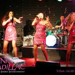 Pink Cadillac (Nashville Wedding & Party Band), profile image