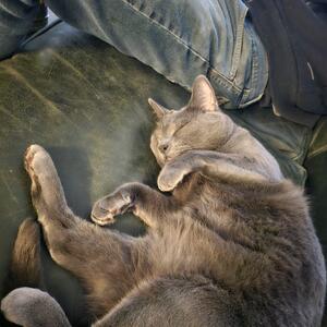 Gallery Photo 21