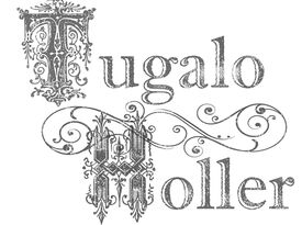 Tugalo Holler - Bluegrass Band - Bluegrass Band - Greenville, SC - Hero Gallery 3