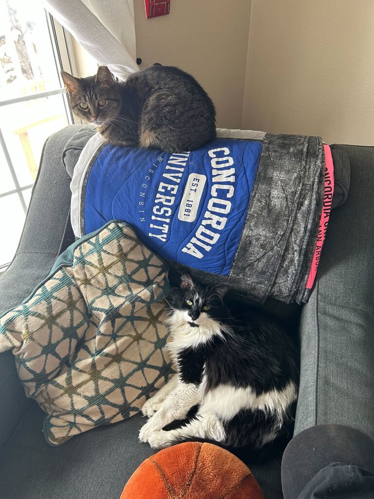 They relocated to Madison for Jose's new job, bought a condo together, and added a new member (Diggy) to the family.