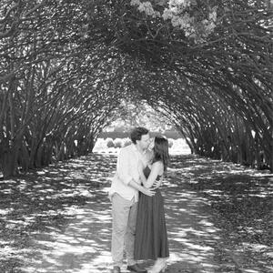 Gallery Photo 66