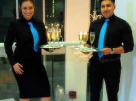Ziva Staffing LLC - Bartender - Miami, FL - Hero Gallery 2