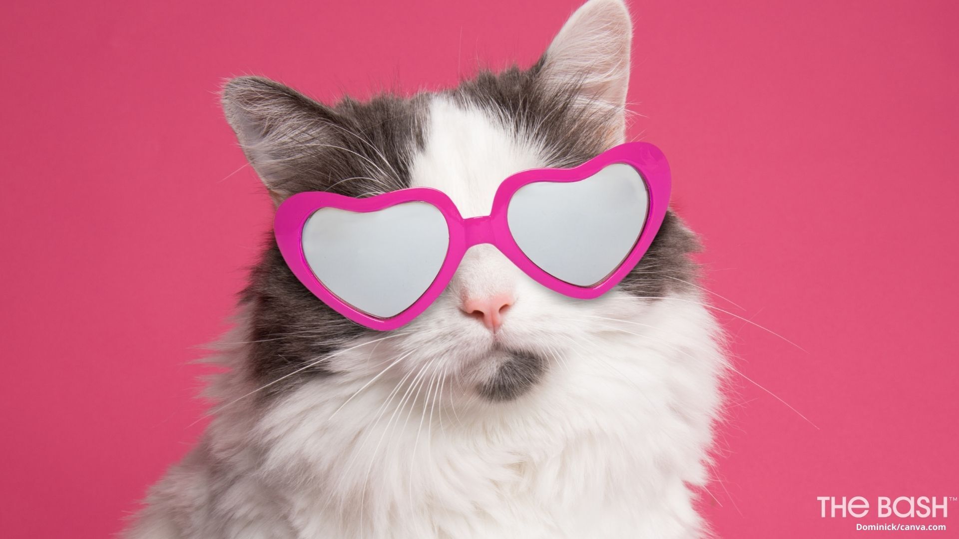 Download free Aesthetic Cute Valentines Heart Glasses Wallpaper 