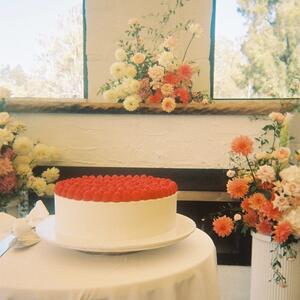 Gallery Photo 30