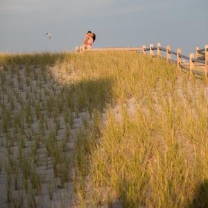 Gallery Photo 25