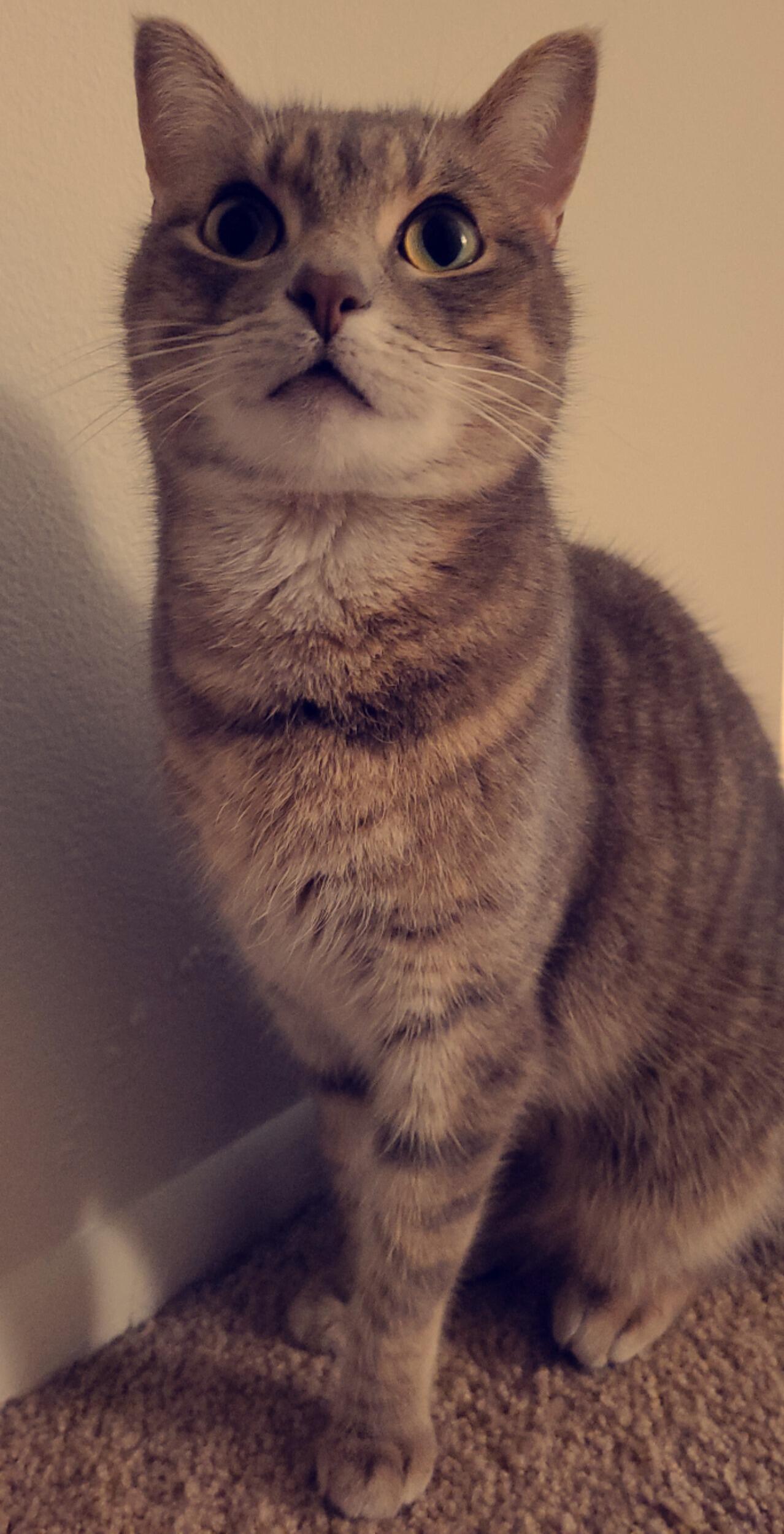 So cute! We love her! 