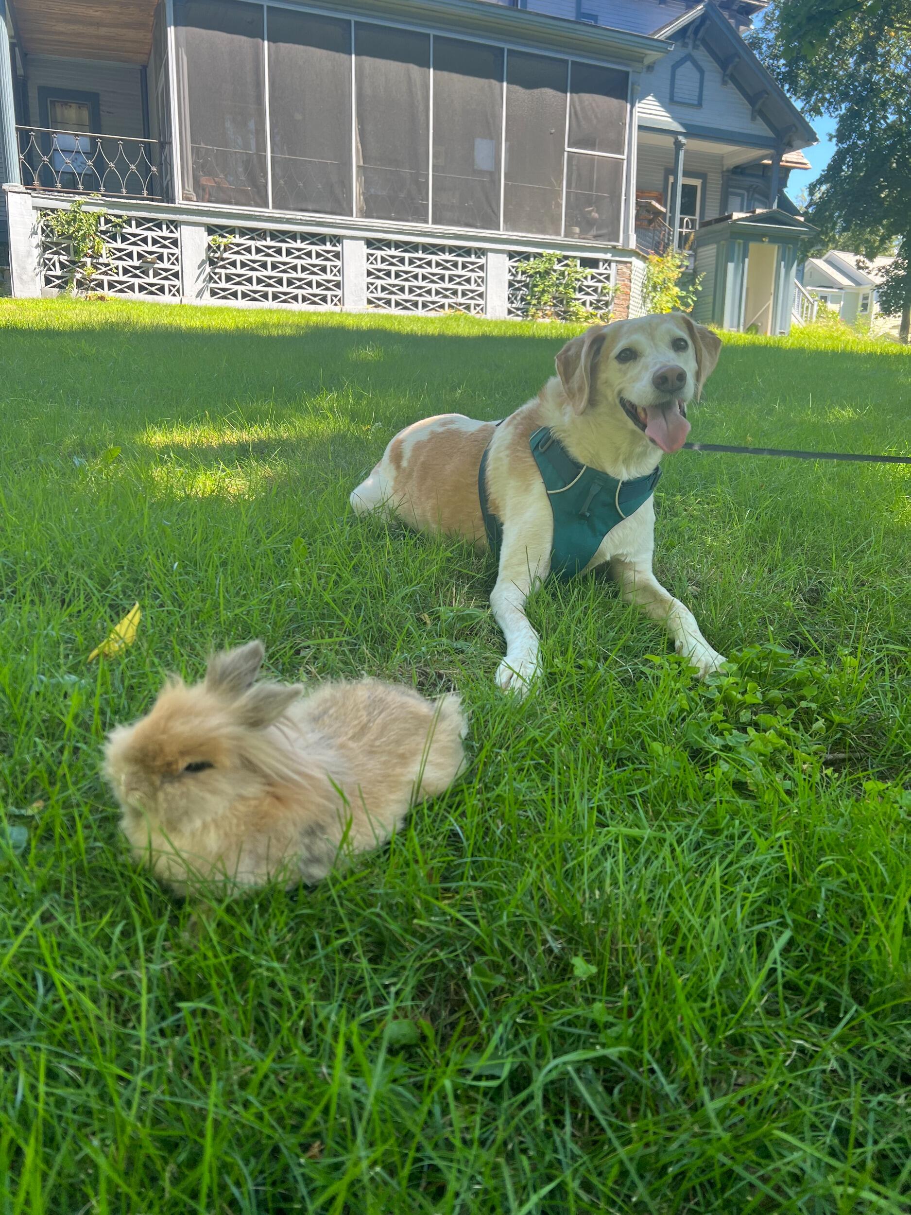 In the weeks following, they went on many exciting dates, including an important introduction for Jake and Nala. 