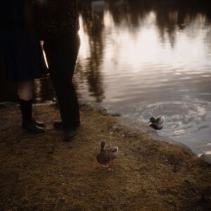 Gallery Photo 87