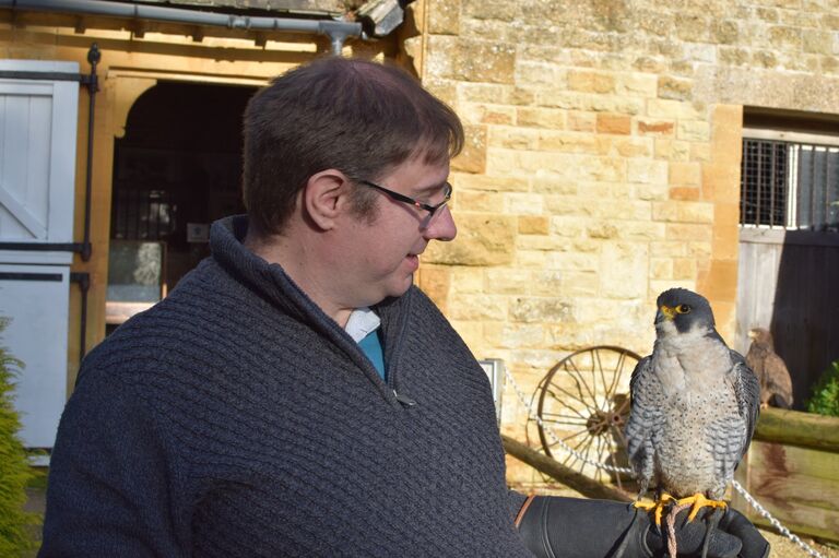 Adam befriends a peregrine falcon.