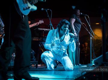 Robert Black N.E.'s Premier Elvis Tribute Artist - Elvis Impersonator - Providence, RI - Hero Main