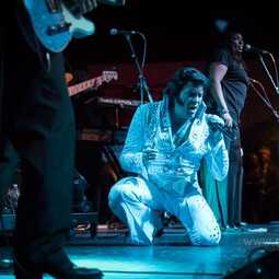 Robert Black N.E.'s Premier Elvis Tribute Artist, profile image