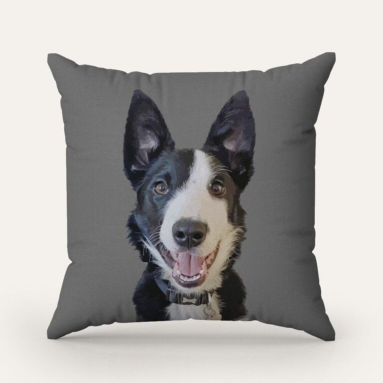 Customized pet pillow in-law gift