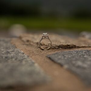 Gallery Photo 52