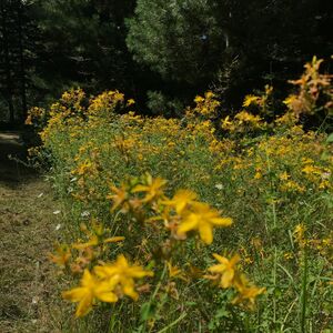 Gallery Photo 6