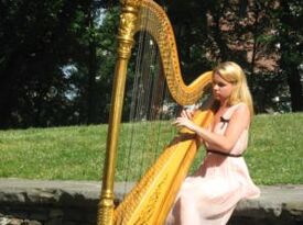 Annabelle Taubl - Harpist - Boston, MA - Hero Gallery 4