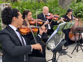 Elegant Musicians, LLC. - String Quartet - Miami, FL - Hero Gallery 3