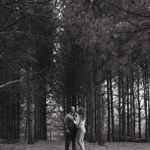Gallery Photo 15