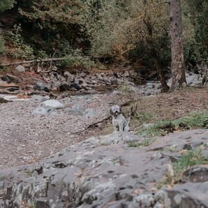 Gallery Photo 22
