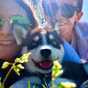 Gallery Photo 39