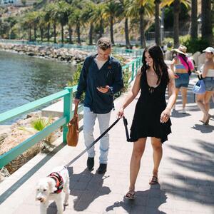Gallery Photo 169