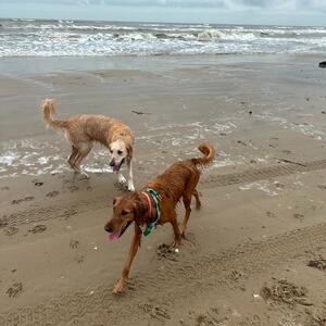 Gallery Photo 24