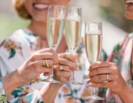 bridal party toast