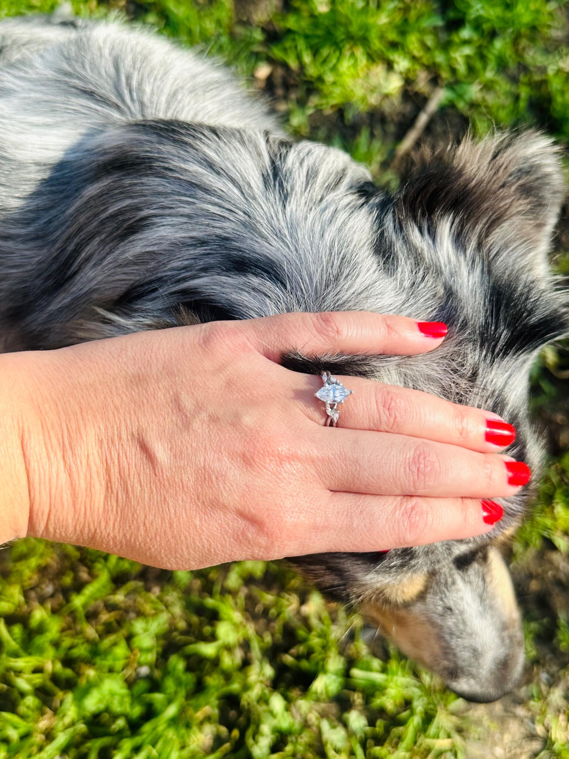 I said yes! Another milestone shared with Bodie