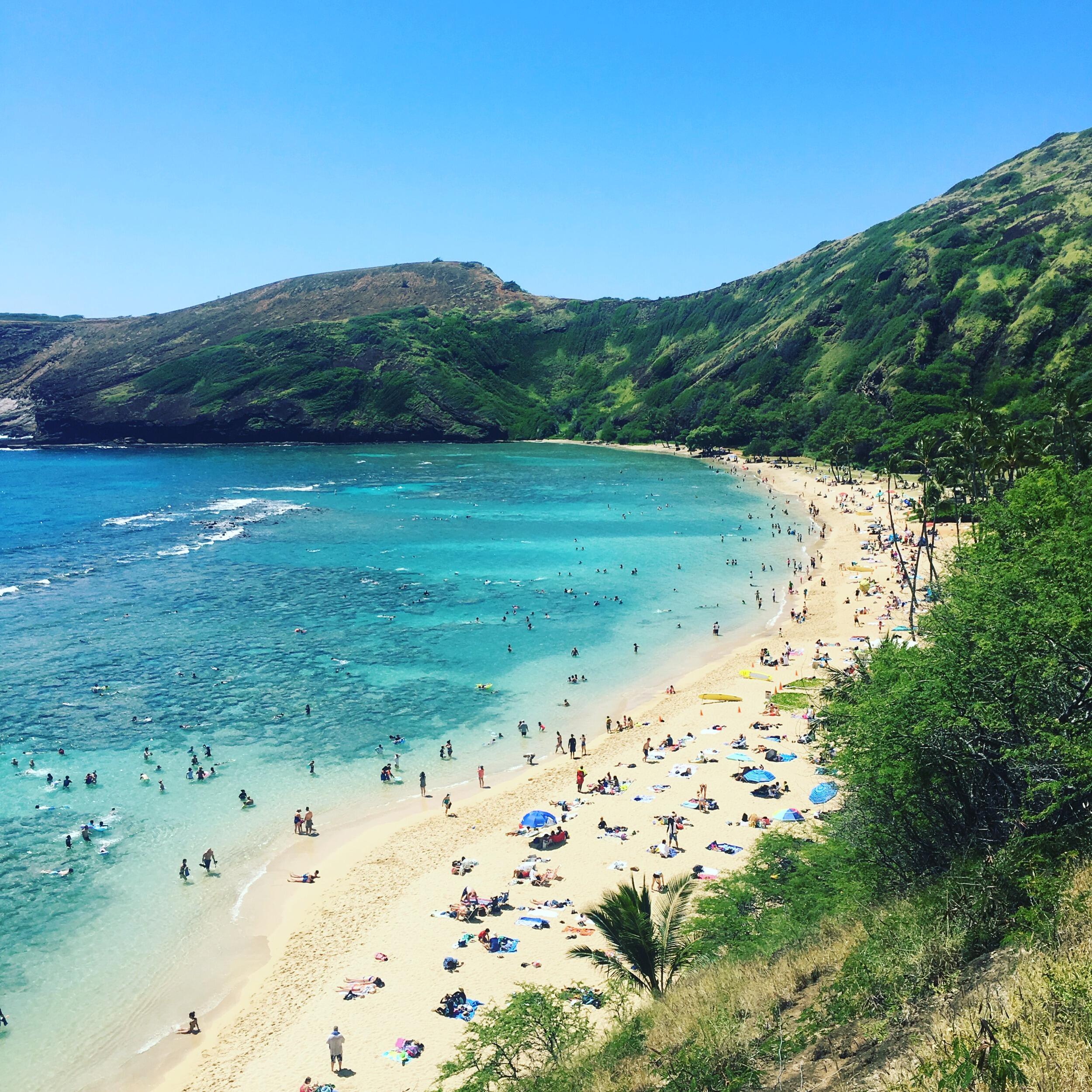 The scene of our second-worst sunburns of all time, snorkeling at Hanauma Bay. 