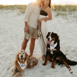 Gallery Photo 4