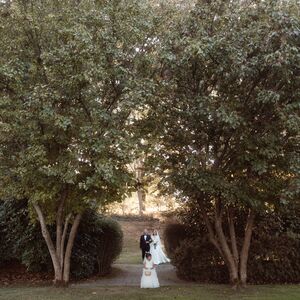 Gallery Photo 59